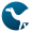 Perl Camel Logo